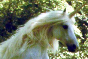 sym_unicorn.jpg