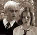 Draco-and-Hermione-dramione-15310603-500-475
