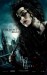 harry_potter_and_the_deathly_hallows_bellatrix_poster